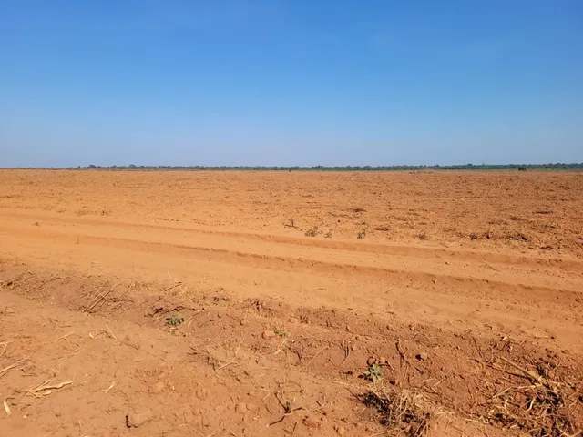 Fazenda 11.364 ha em 11.374 ha em Xingu-PA