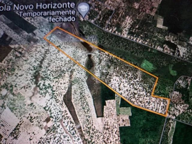Fazenda Vitoria - 76 hectares em Chorozinho para vender - Foto 2