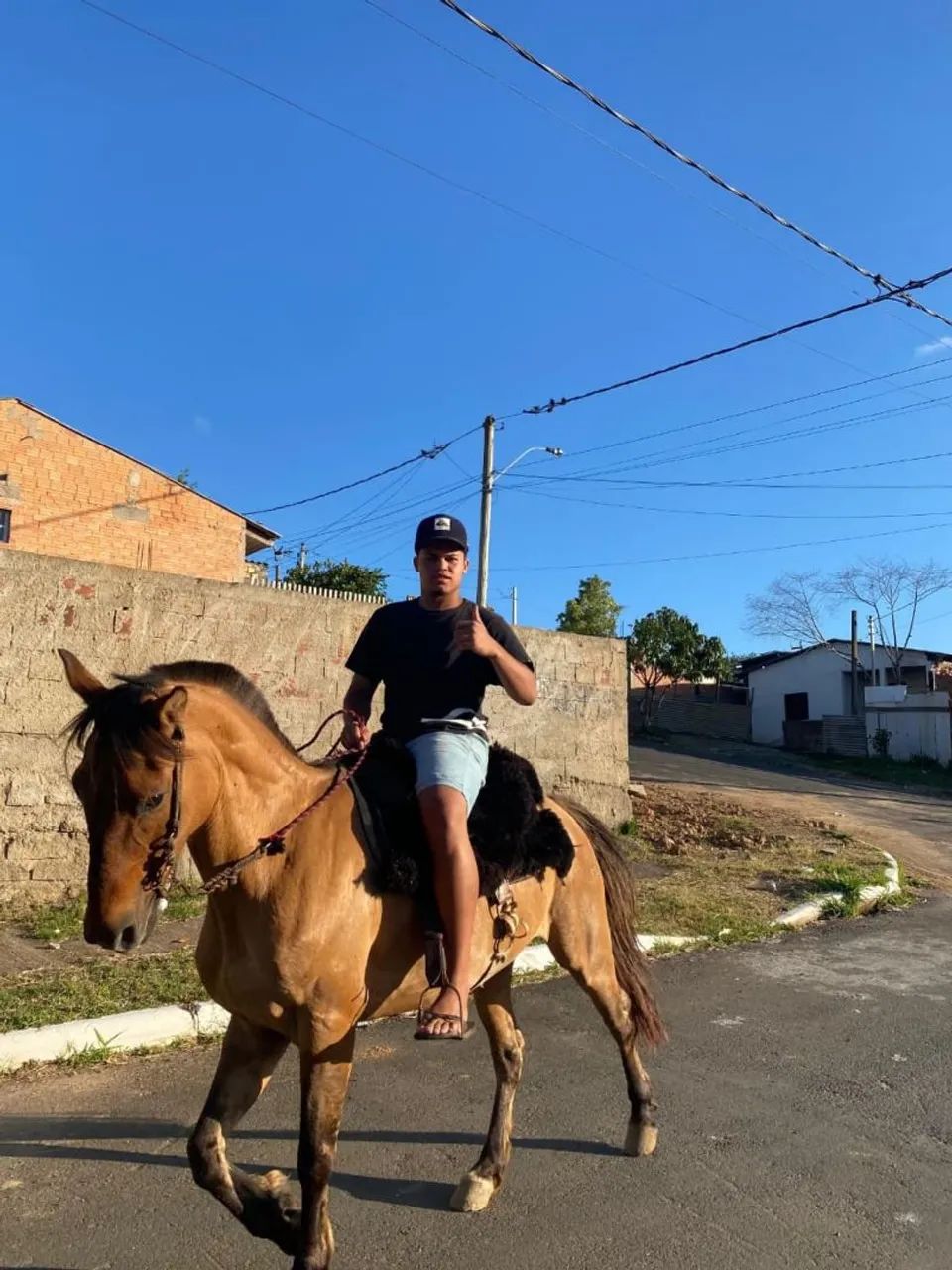 Égua crioula domada - Foto 5