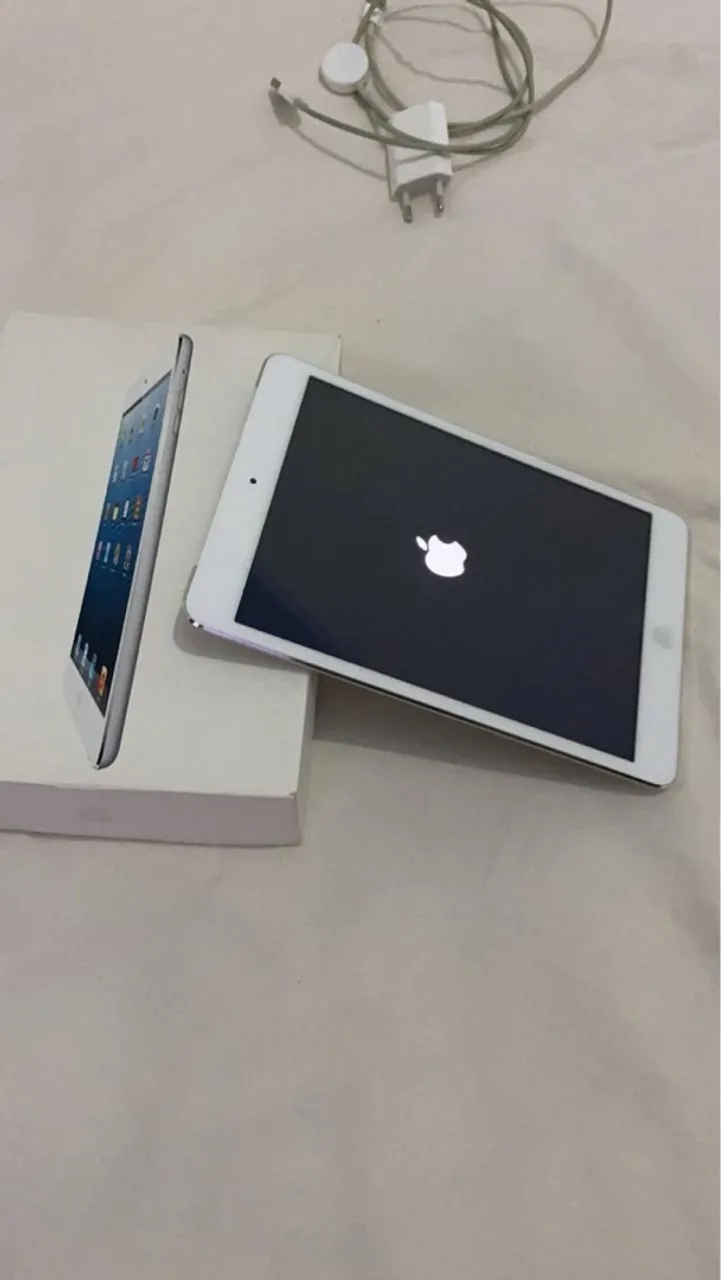 iPad mini 