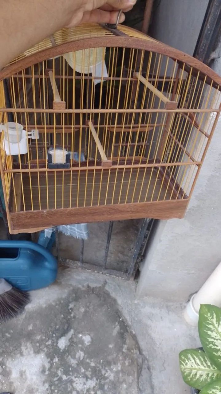 Tenho uma gaiola nova pra vender 70 reais - Foto 2