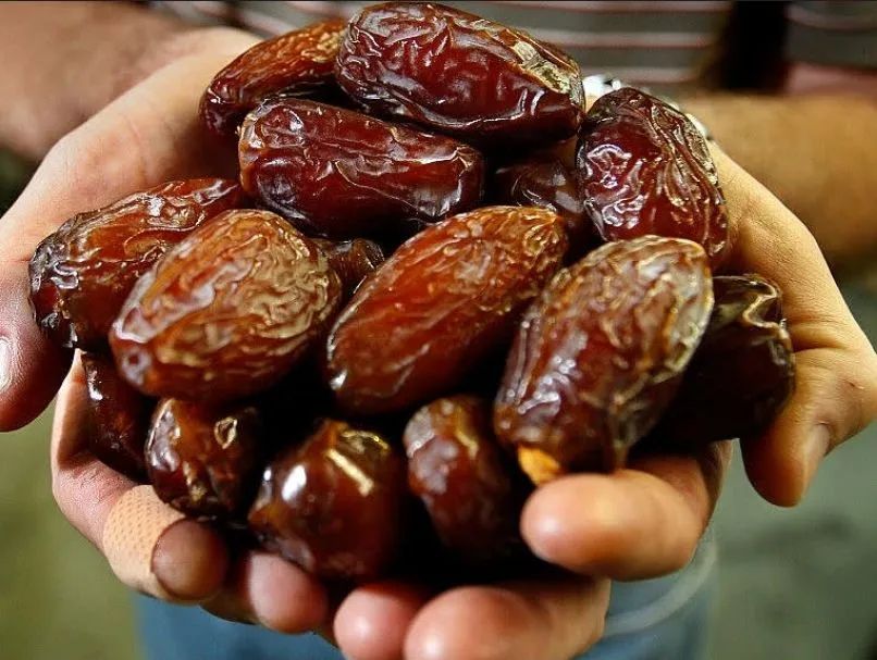 Mudas de Tamareira rara  - Foto 4