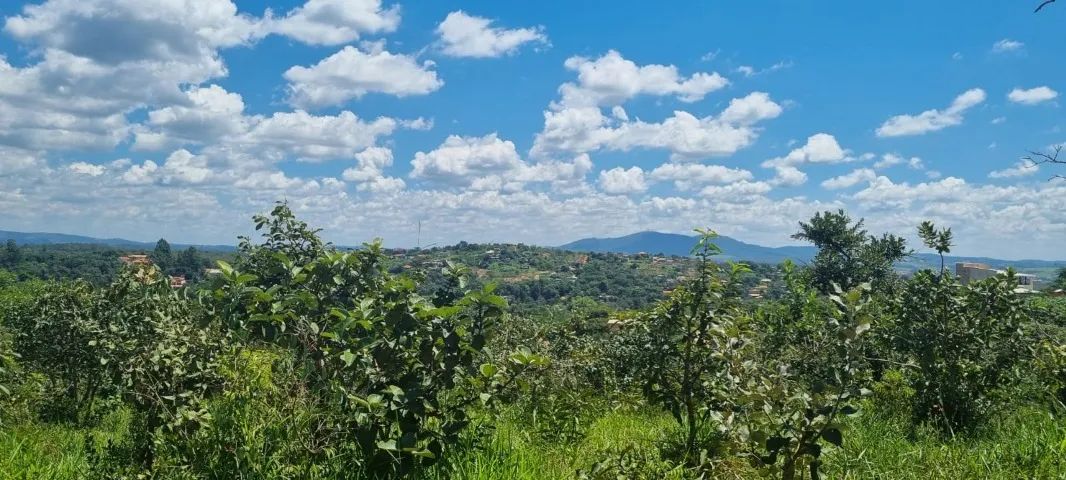 Glebas de 20.000M² no Jardim do Lago em Juatuba - MG - Foto 8