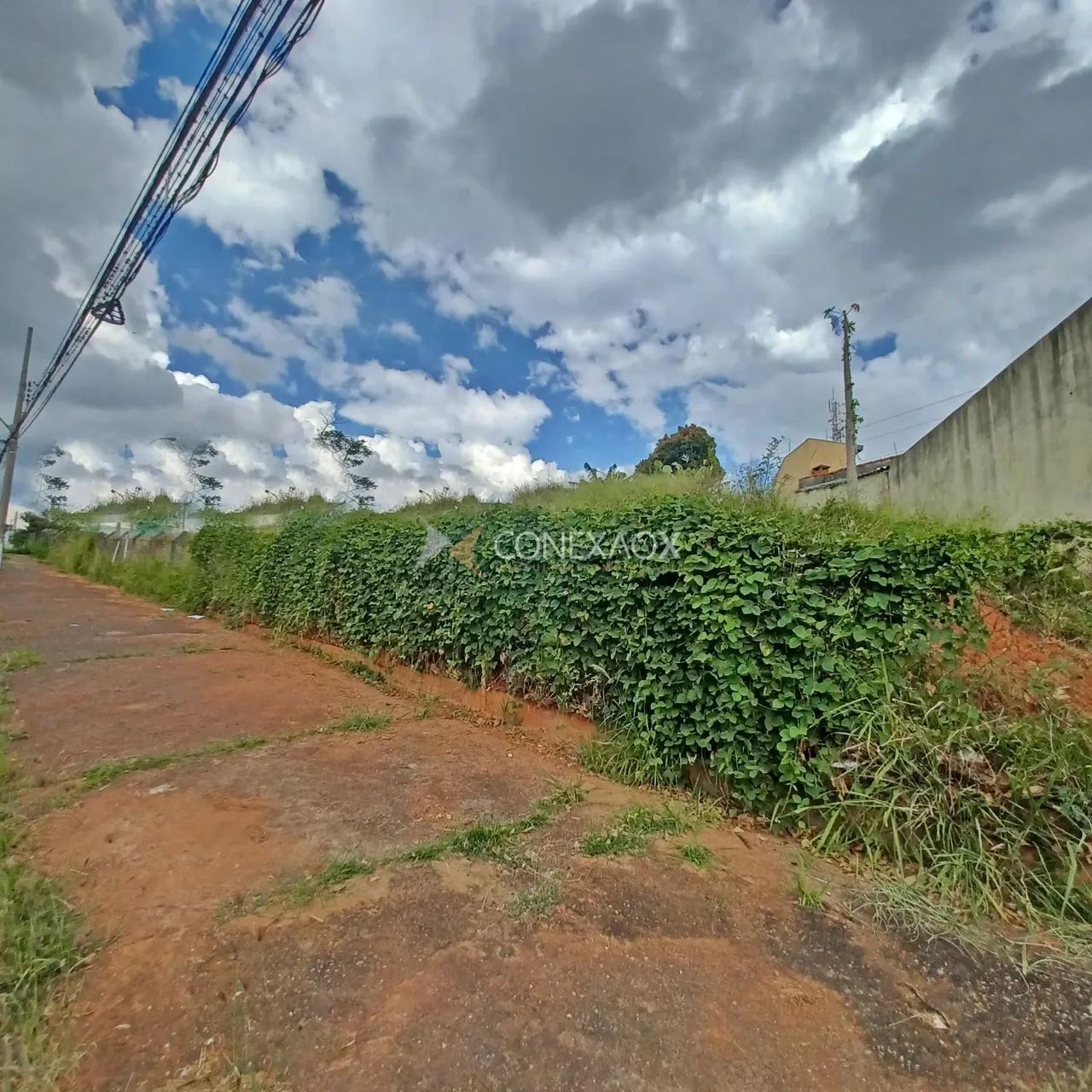 área - Chácara da Barra - Campinas - Foto 3