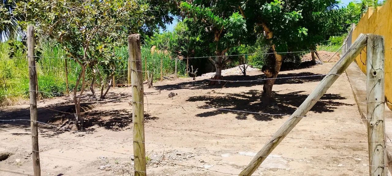 Vendo lote próximo à praia. - Foto 6