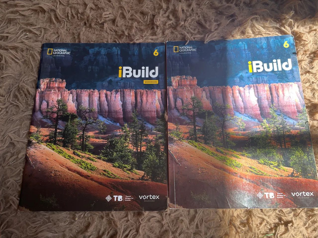 Livros iBuild 6 Thomás bilíngue for schools