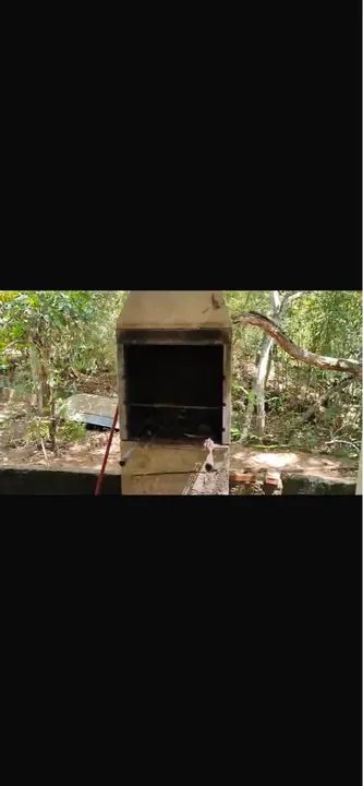 PESQUEIRO. NUARA (noara  - Foto 14