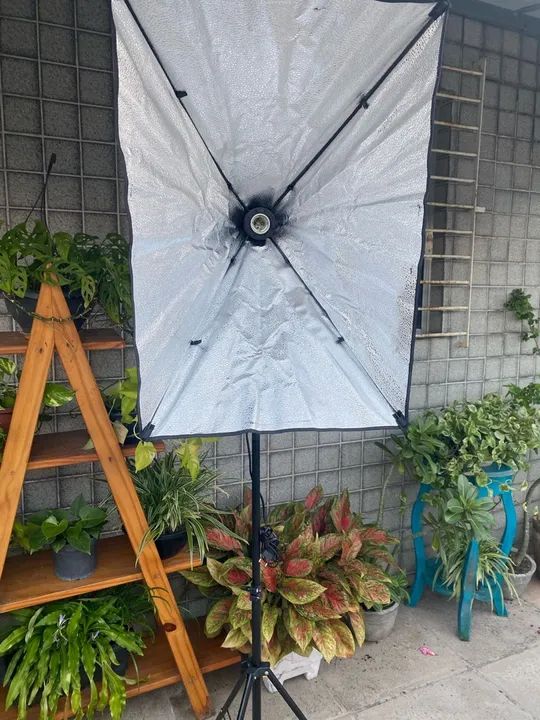 Softbox 50x70cm para Fotografia e Filmagem - Foto 3