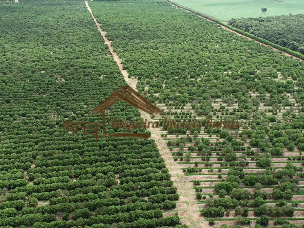 Fazenda com 300 alqueires na região de Avaré-SP - Foto 3