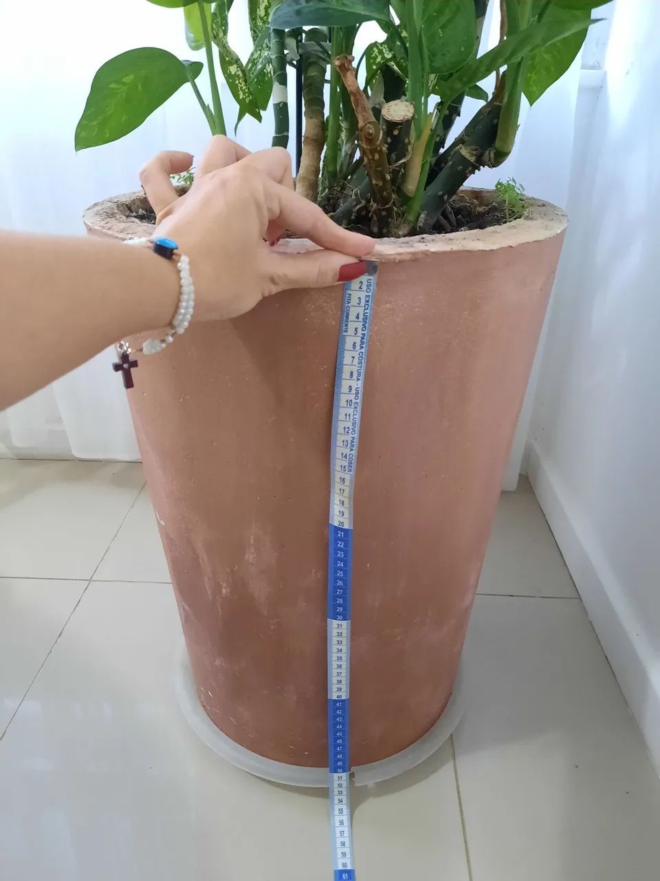 Planta Dieffenbachia em Vaso Decorativo - Foto 2