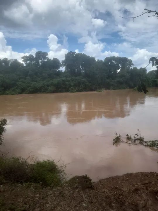 foto - Ribeirão Preto - Campos Elísios