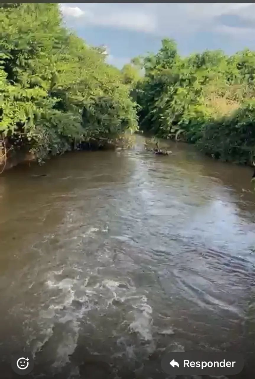 Foto - Goiânia - Jardim América