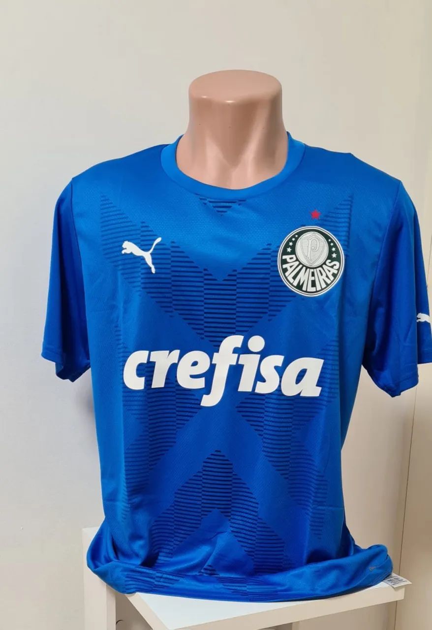 Palmeiras 64299344636291120