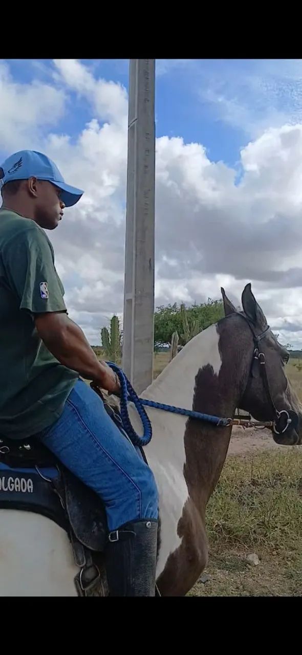 Egua MM Pampa de Preto Sem RG - Foto 3