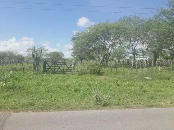 Fazenda com 137 hectares em são pedro dp potengi