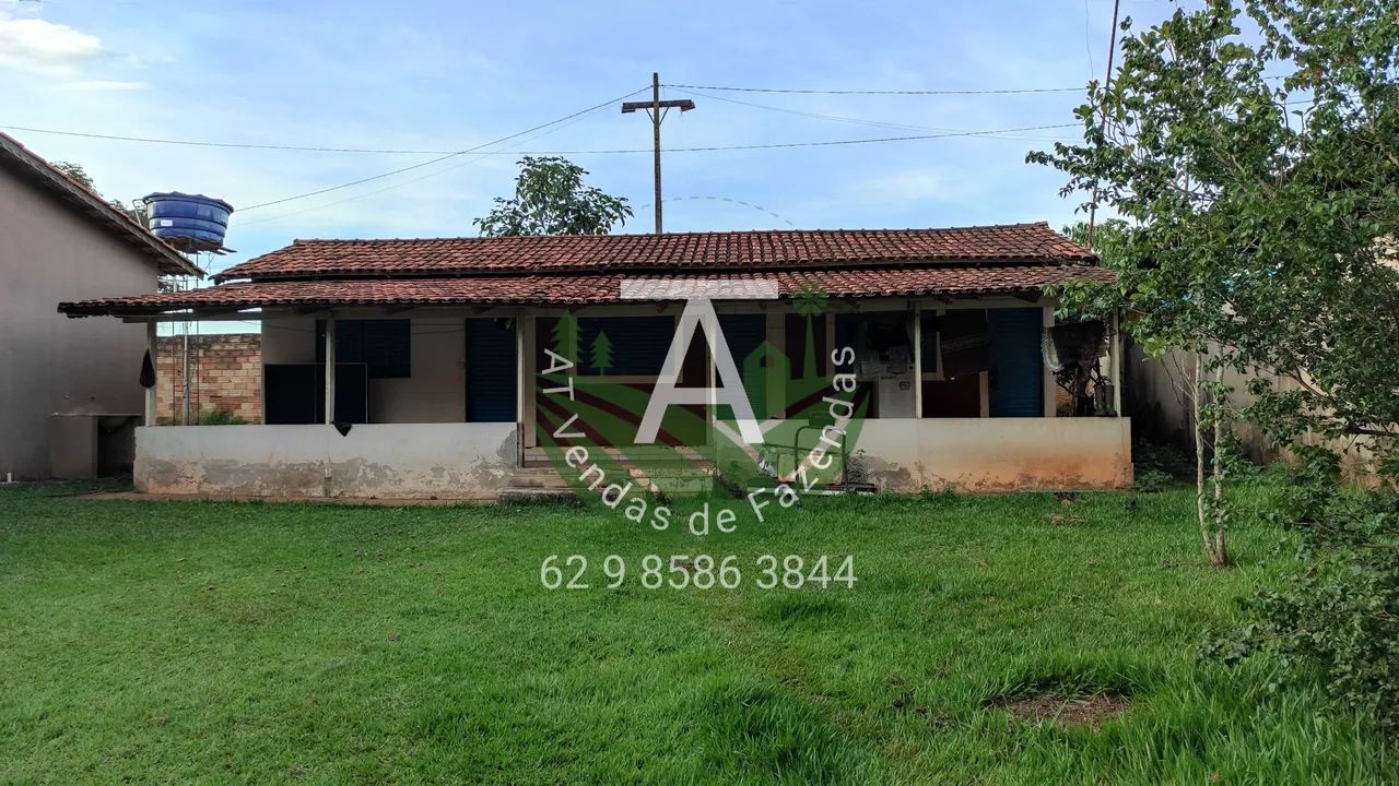 Haras em Goiânia  - Foto 5