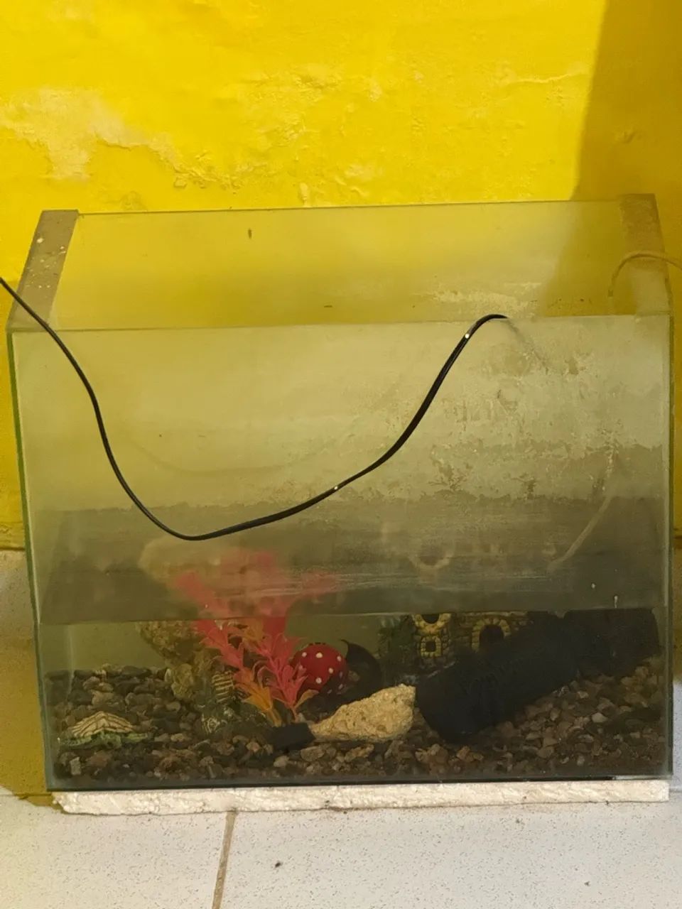 Aquário para peixes  - Foto 2