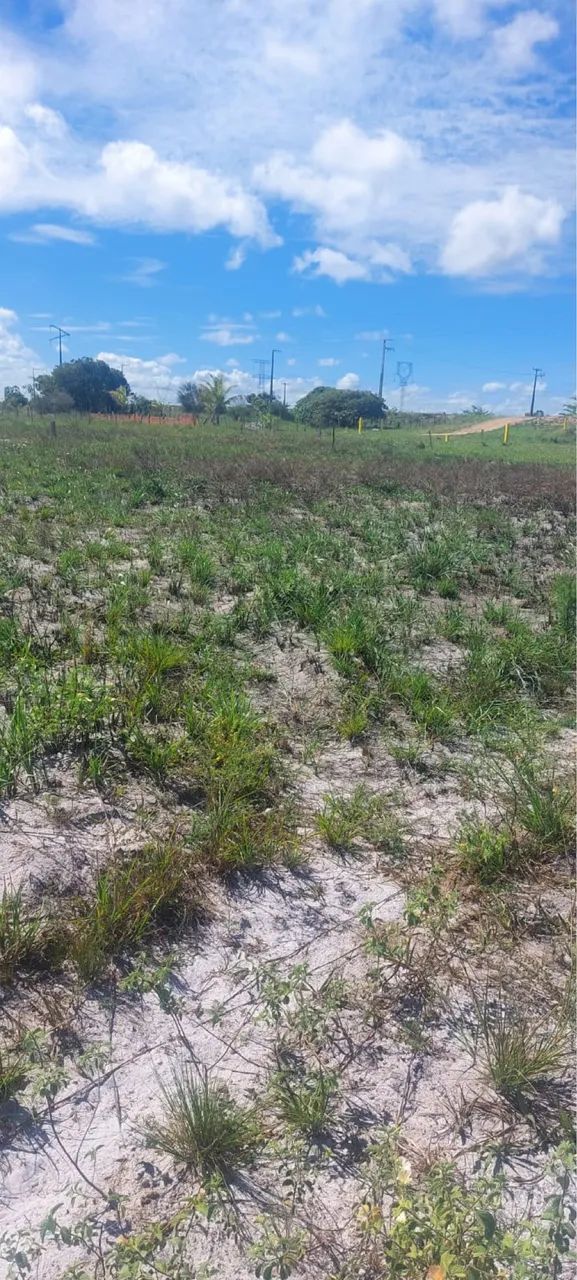  Vende-se lotes de terreno próximo ao trevo de jatobá 