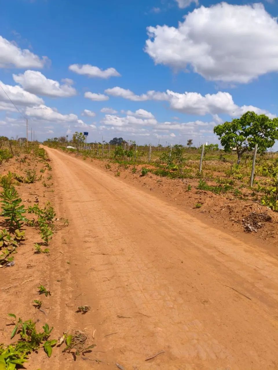 Lote em Planalmira barato  - Foto 4