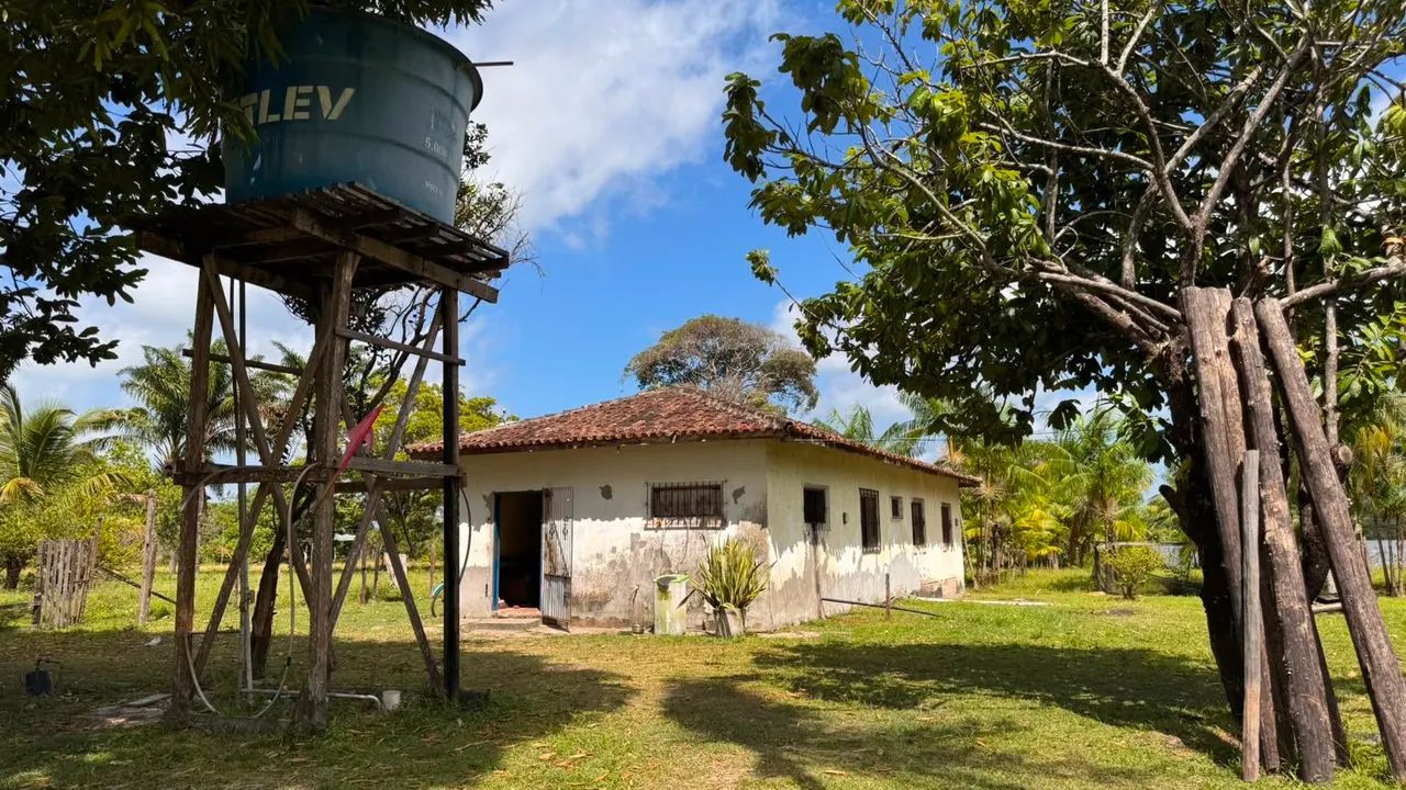 As margens do rio paracauari - Foto 4
