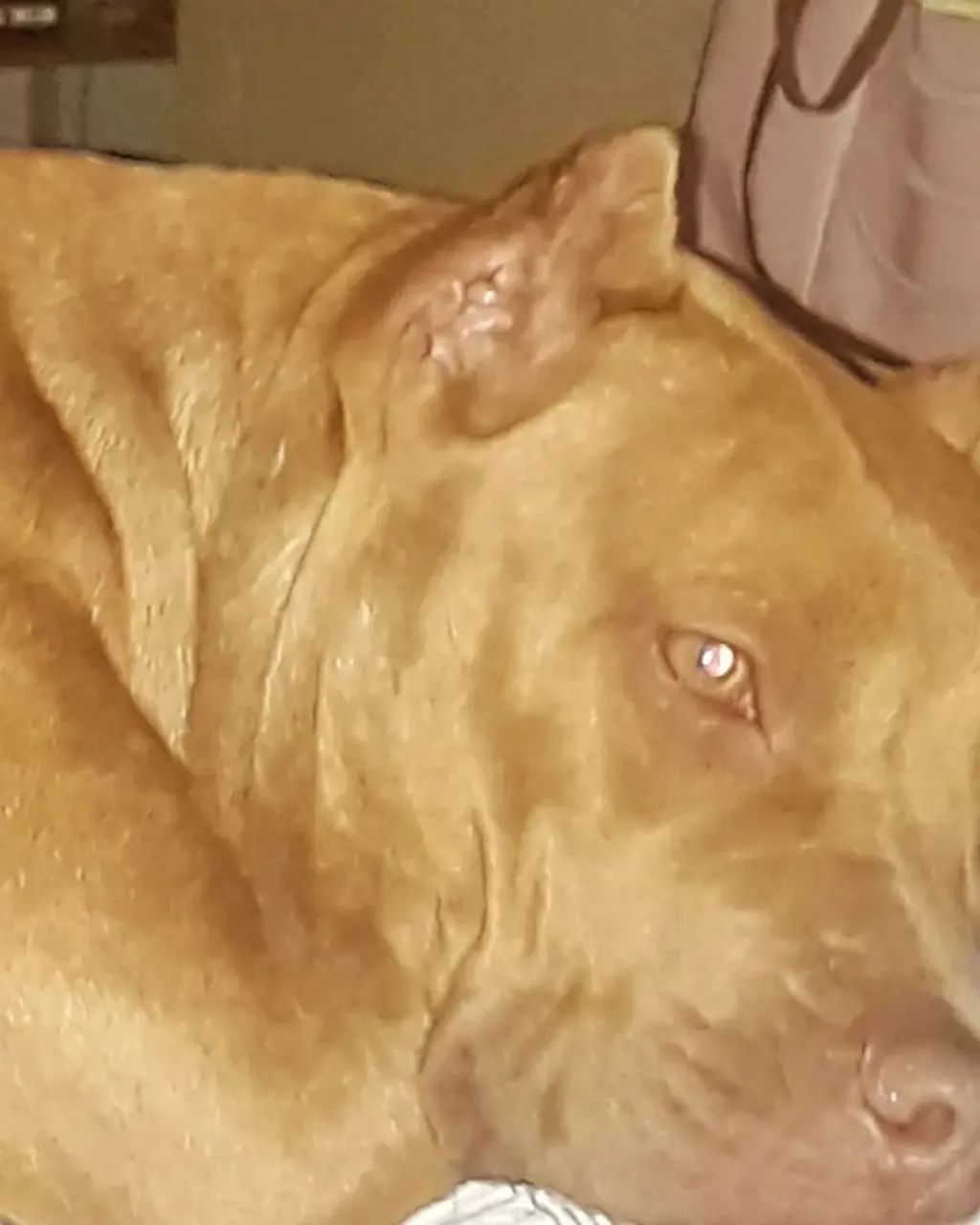 Doase ? - Foto 4