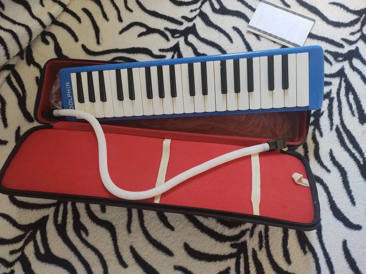 Escaleta dolphin 37 teclas com case. - Foto 3