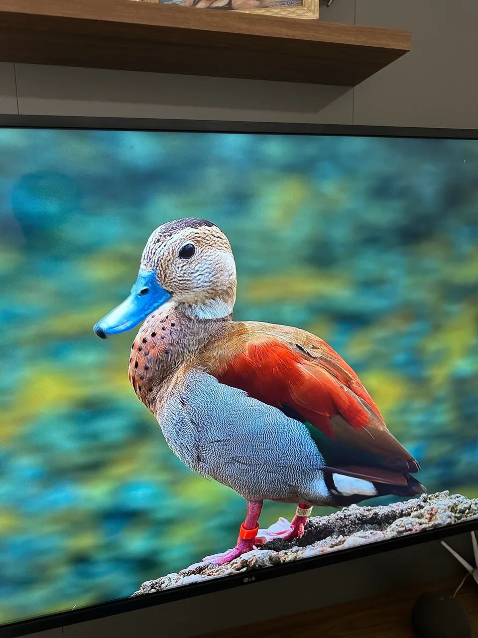 TV 4K LG 65 POLEGADAS + SUPORTE  - Foto 3