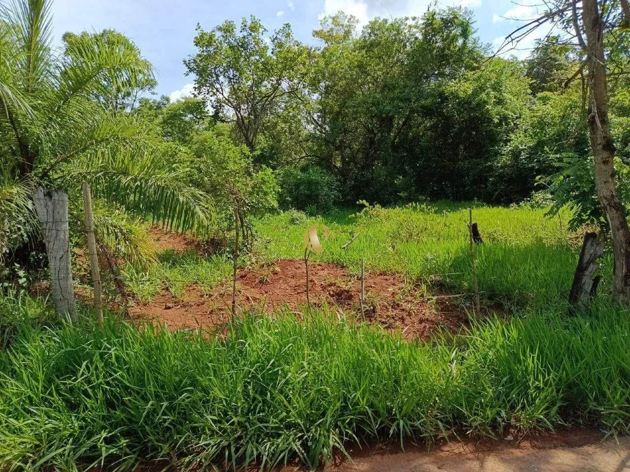 Terreno Represa em Capim Branco - Foto 3