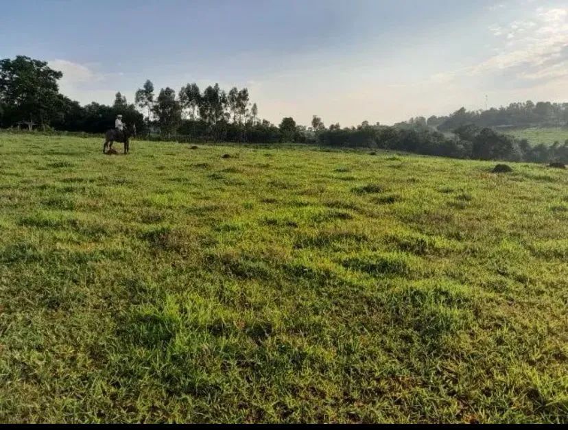 Sítio de 3,3 Alqueires  em Conchas-SP