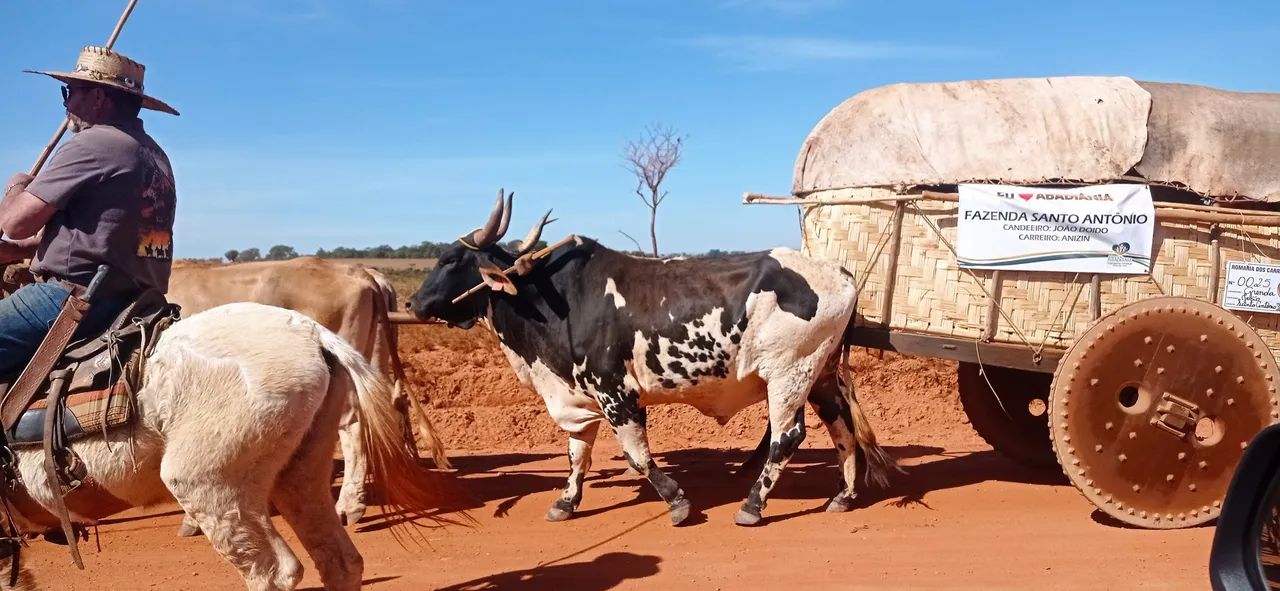 chácara em Santo Antônio do Descoberto condomínio Goiás troca - Foto 5