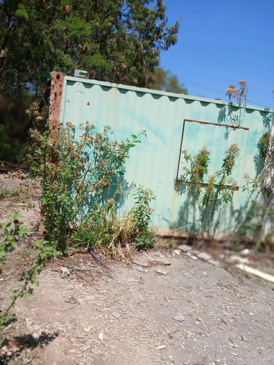 container - Foto 4