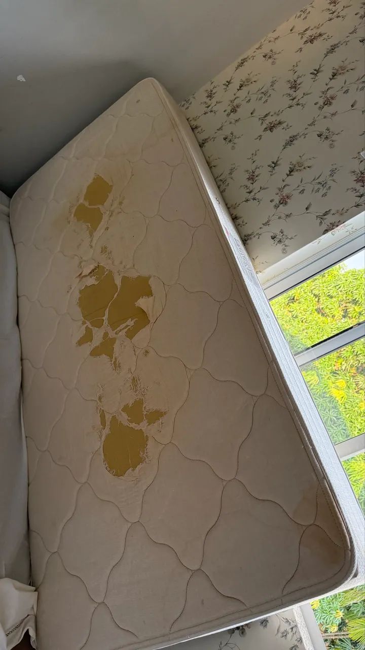 Cama Solteirão marca herval - Foto 3