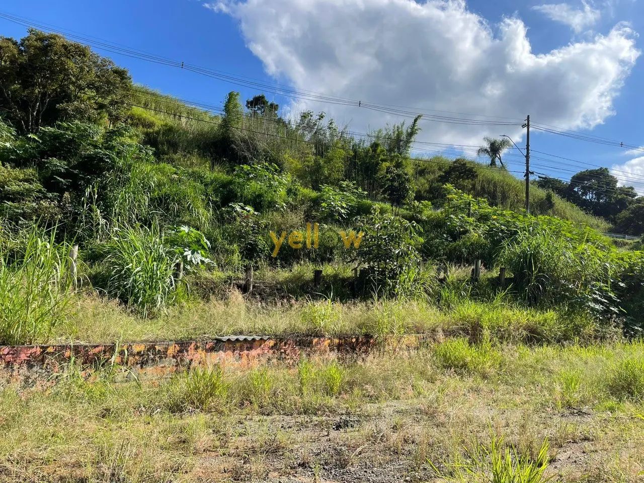 Galpão à Venda e Locação no Parque São Benedito, Santa Isabel - Foto 4