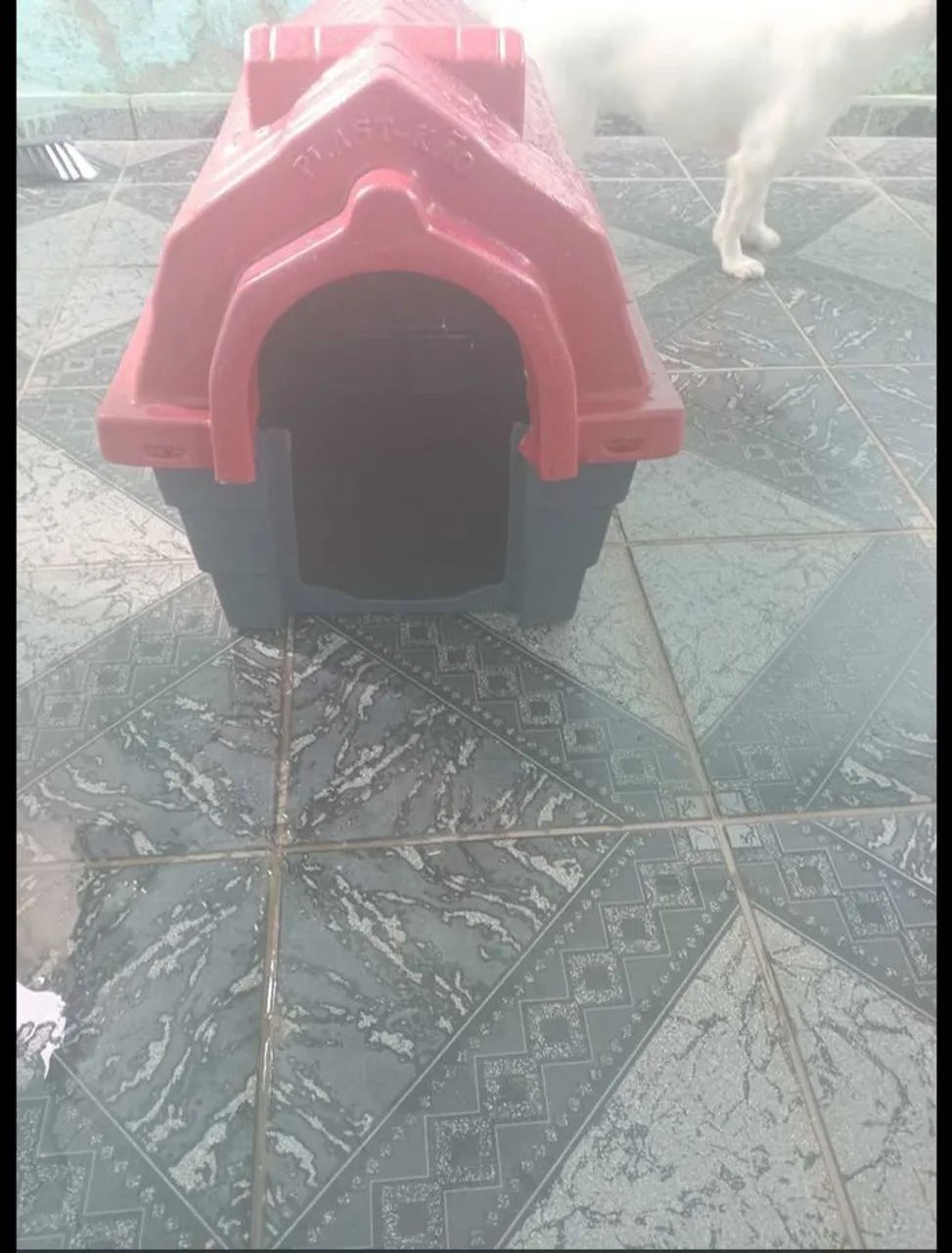 Casinha de cachorro 