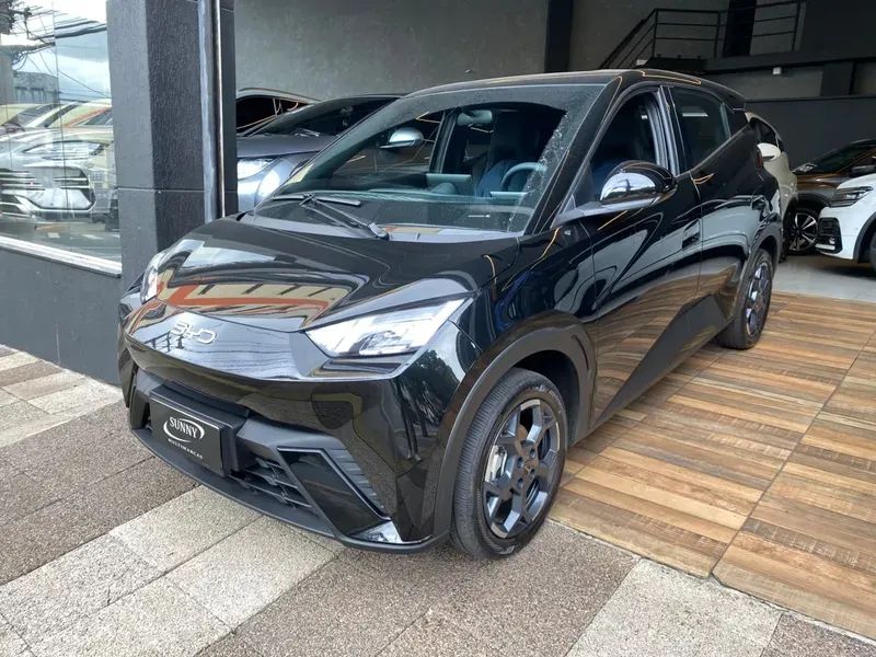 BYD Dolphin Mini