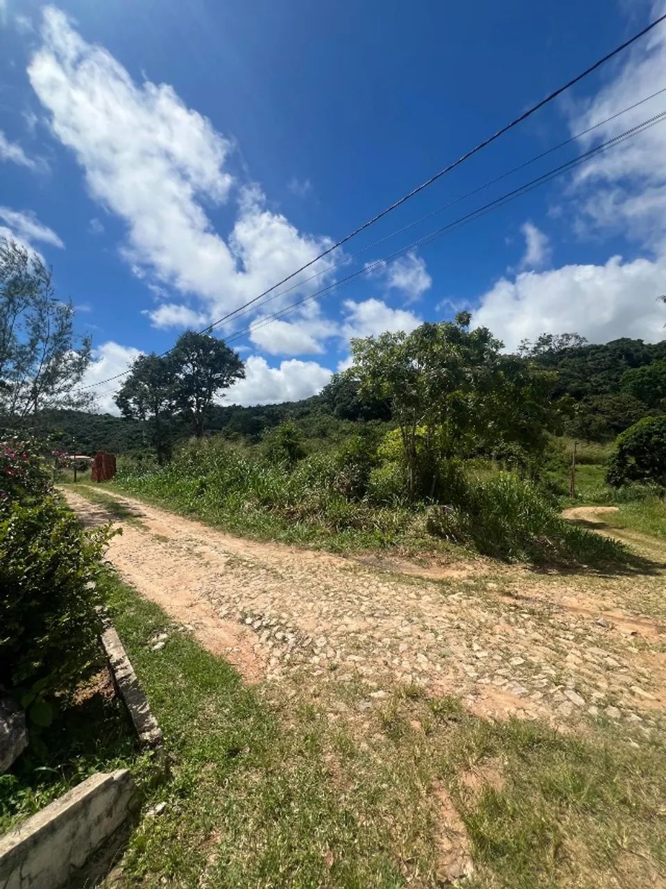 Terreno Jardim Aratuba  - Foto 2