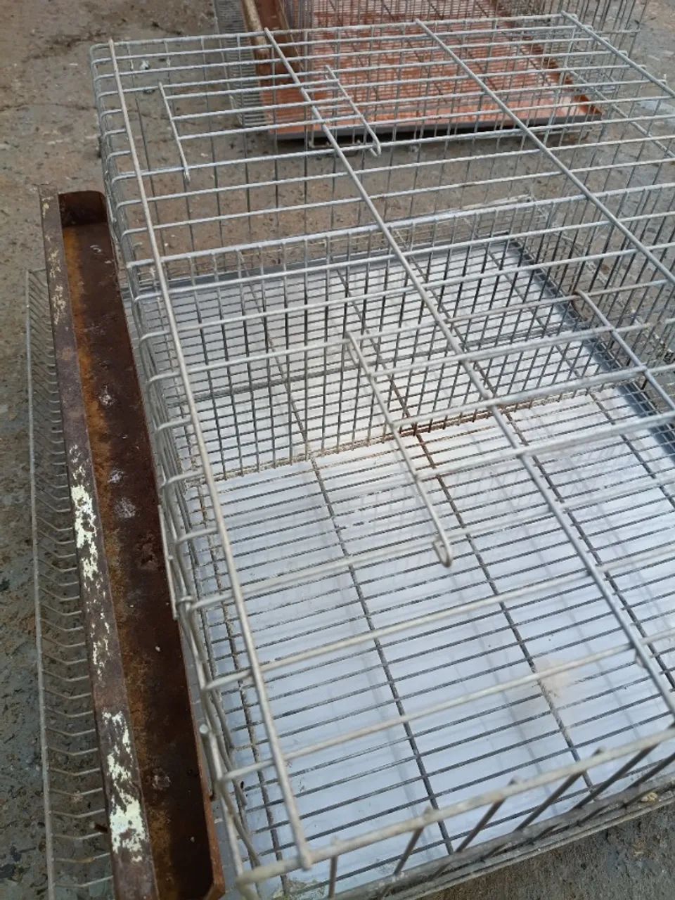 GAIOLA PRA CODORNAS - Foto 2