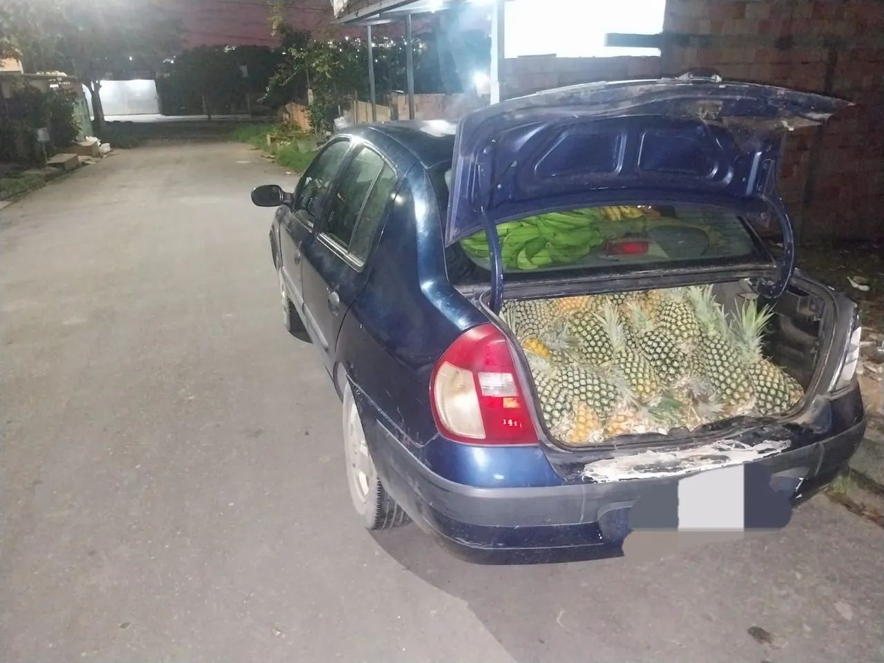 Abacaxi 5 rais  - Foto 2