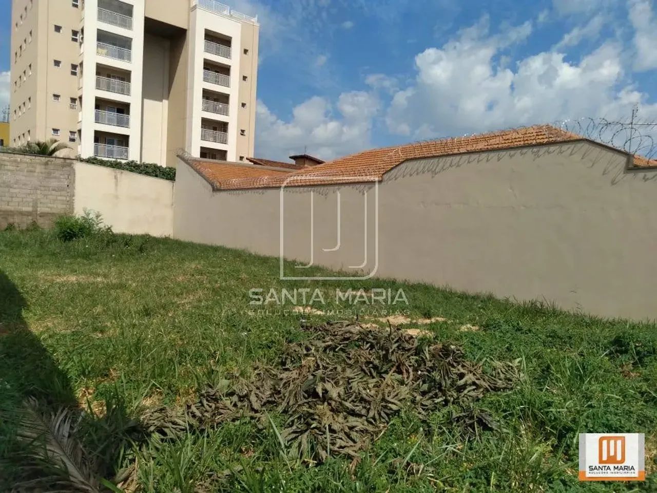 Terreno (terreno normal) - Foto 3