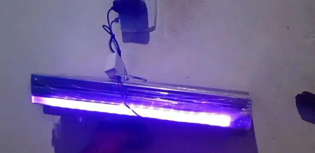 Cacasta Inox - Foto 4