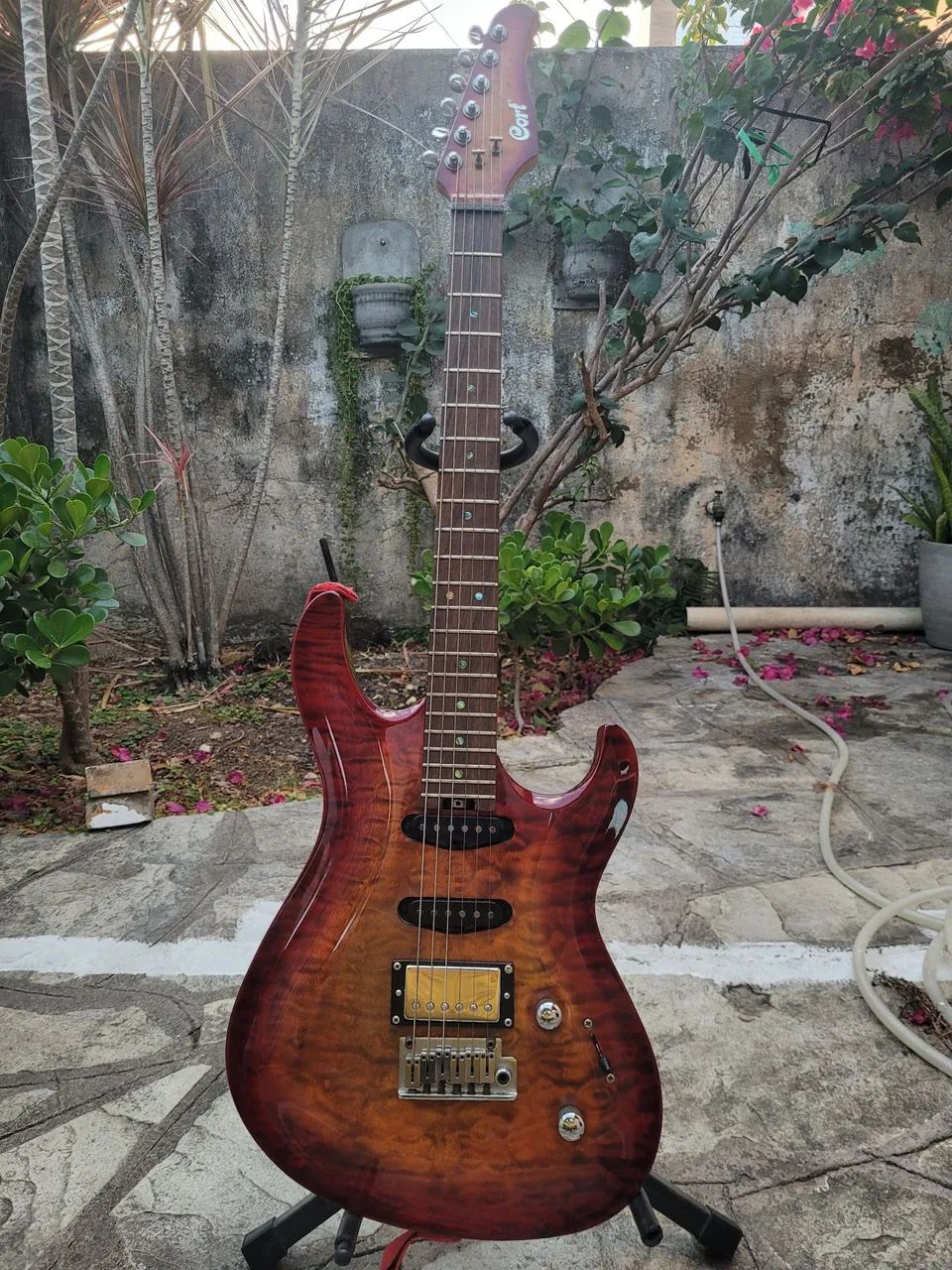 Guitarra Cort G custom - Foto 2
