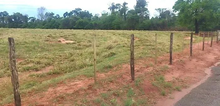 PECUÁRIA - Área Rural 80 Alqueires - Foto 3