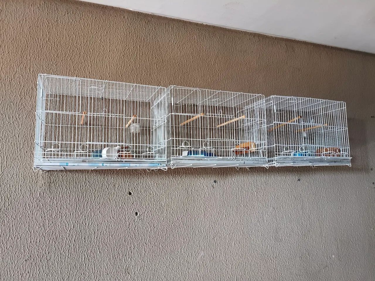 Gaiolas de aço para canários semi novas