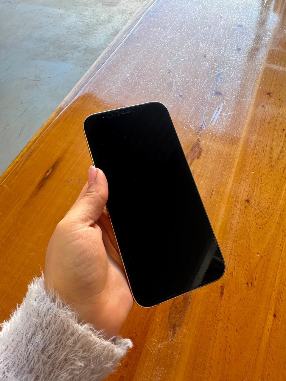 iPhone 12 Pro Max 