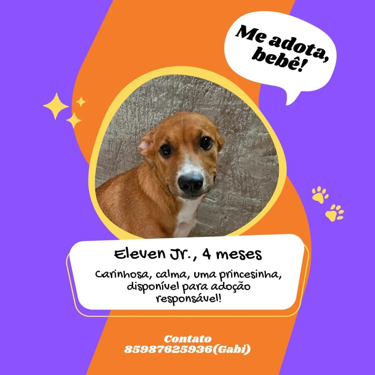 Filhotes para doação  - Foto 3