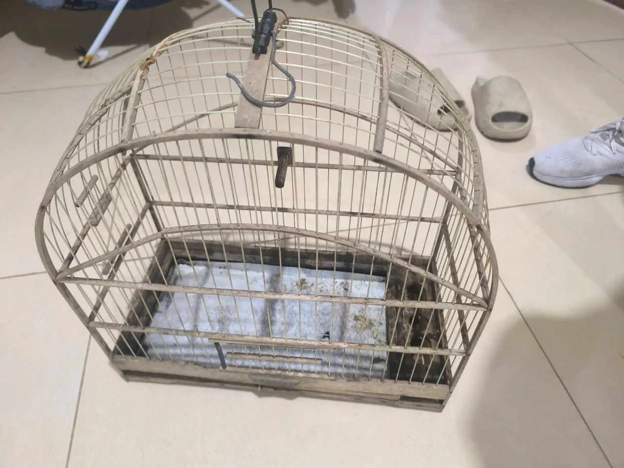 Gaiola de passarinho - Foto 4
