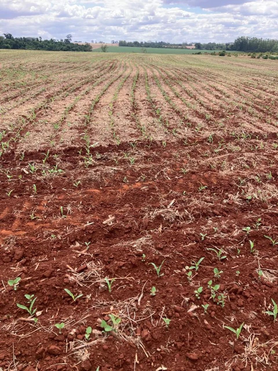 Vendo fazenda  - Foto 2