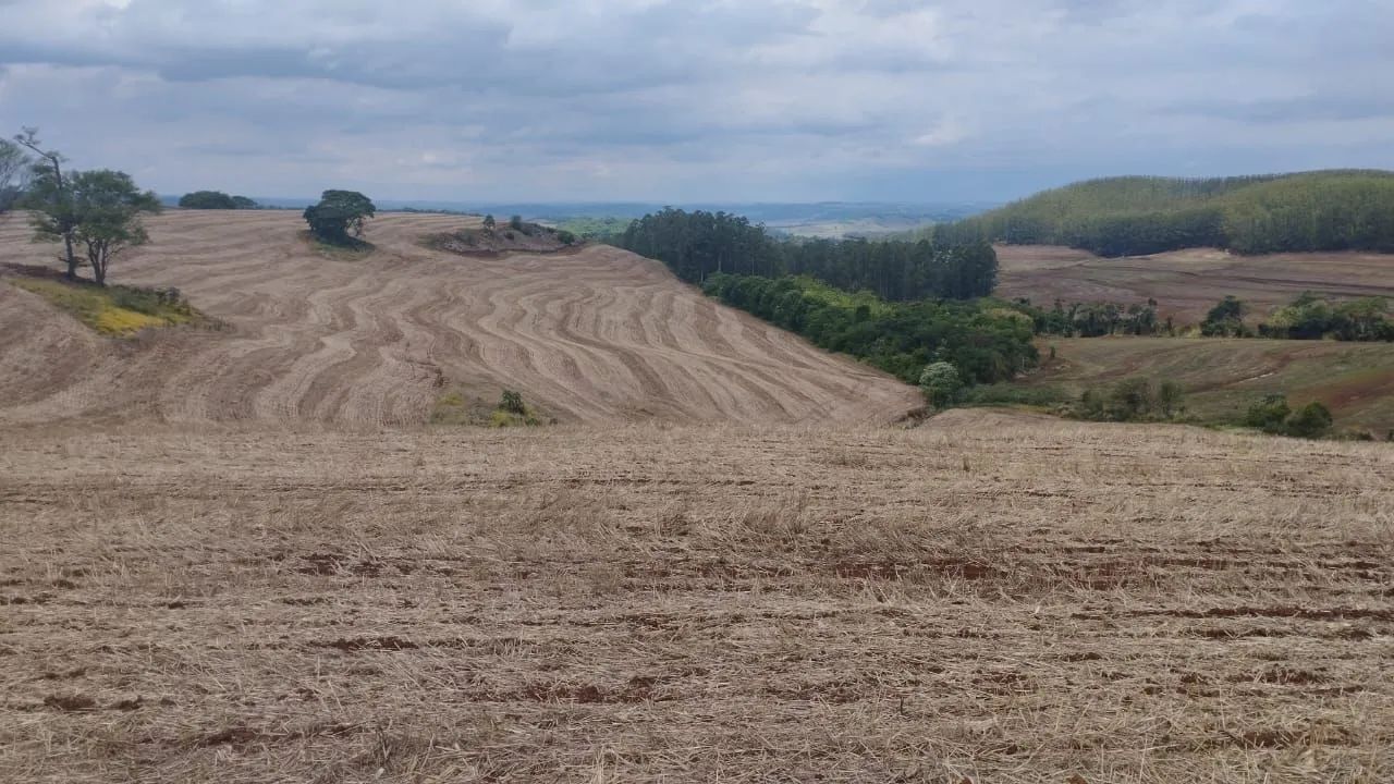Fazenda 1+4 anos para pagar 