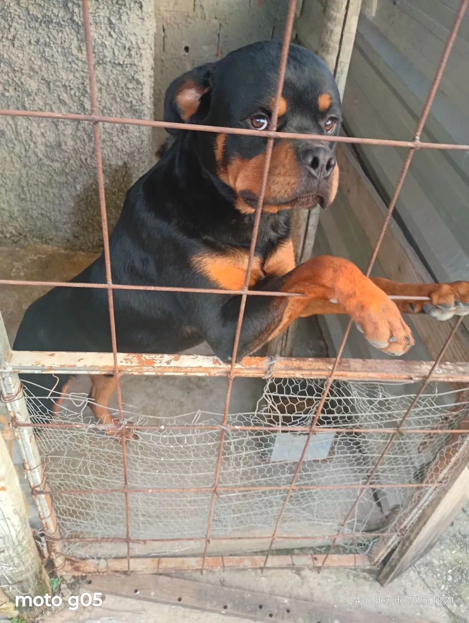 Vende se - Foto 2