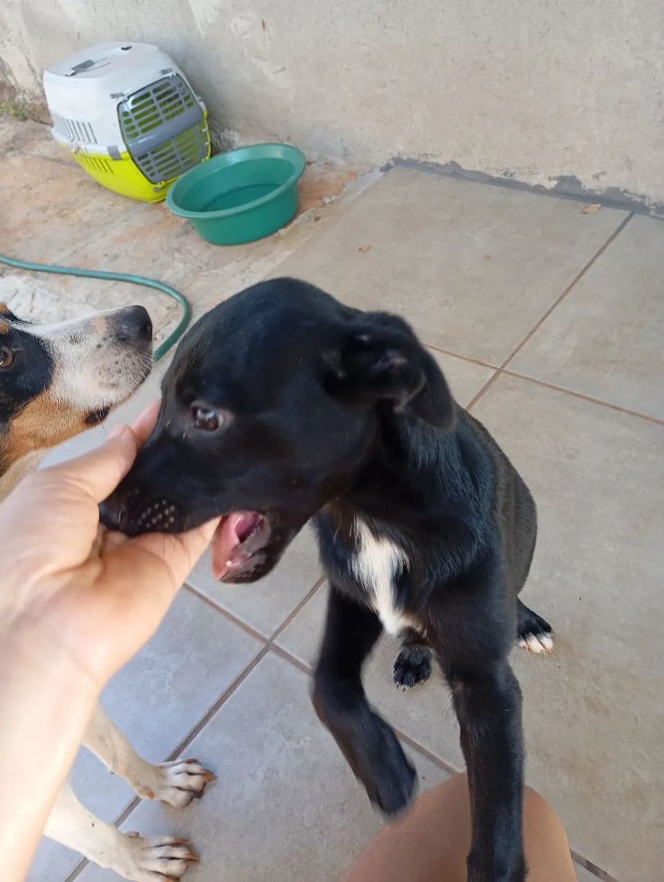 Doação da pipoca - Foto 3